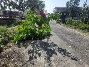 सड़क बन सकता है हादसे शिकार