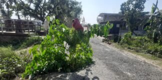 सड़क बन सकता है हादसे शिकार