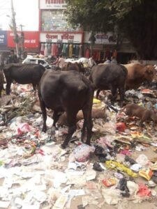 तस्वीर- एक सत्याग्रह चौक