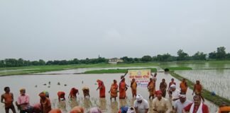 किसानों के साथ खेत में उतरे परिषद के सदस्य, धान की रोपाई कर अन्नदाताओं का बढ़ाया सम्मान