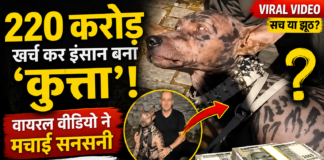 220 करोड़ खर्च कर इंसान बना ‘कुत्ता’! वायरल वीडियो ने मचाई सनसनी, सच जानकर रह जाएंगे हैरान