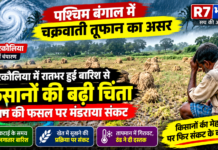 कटाई के समय मौसम की बेरुखी से परेशान अन्नदाता, खेतों में तैयार धान को लेकर बढ़ी चिंता